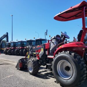 T354
